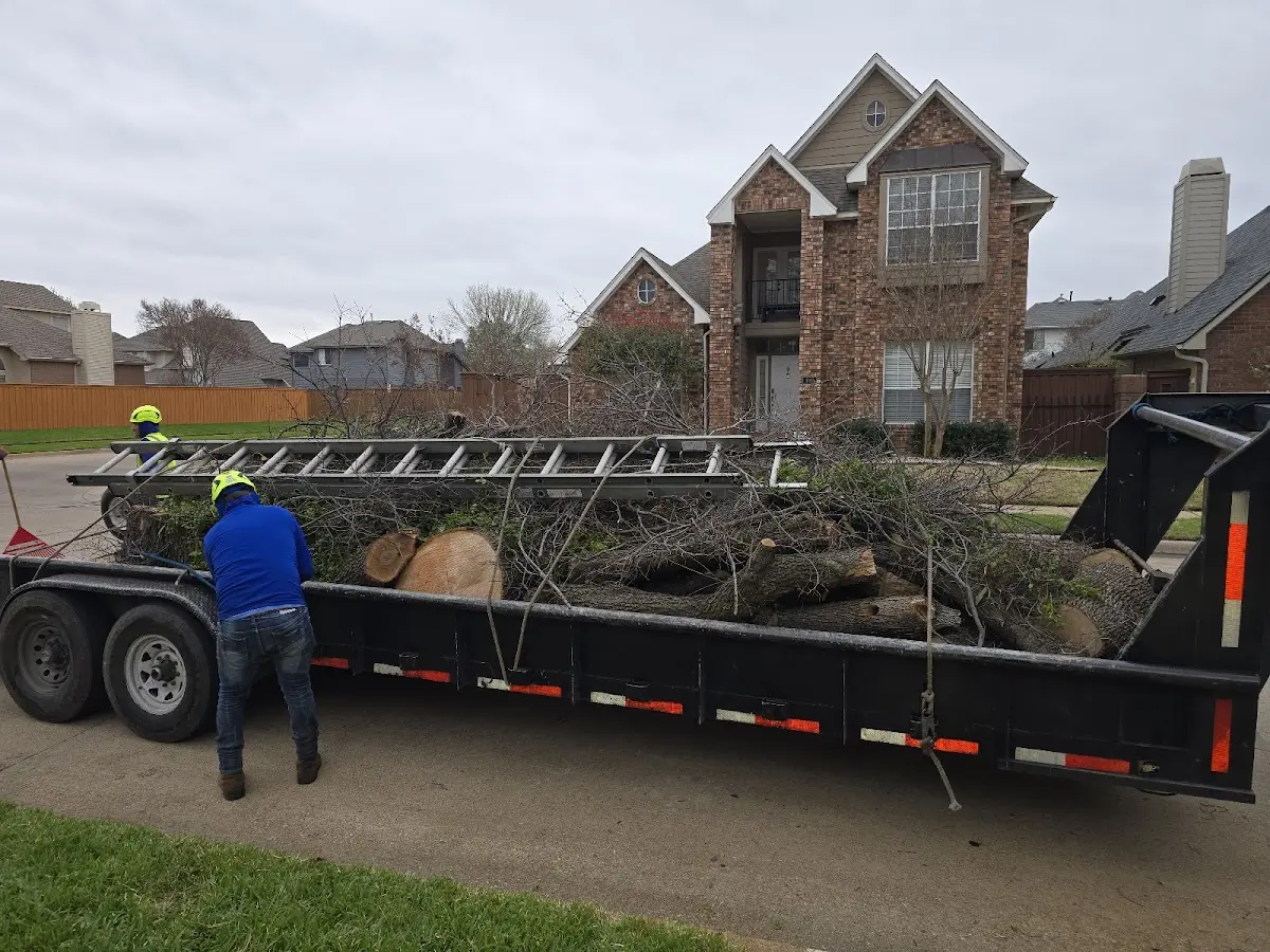 Expert Tree Pest Control with proper safety equipment in Dos Palos
